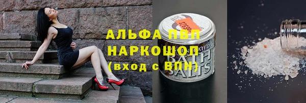 молекула духа Заволжье