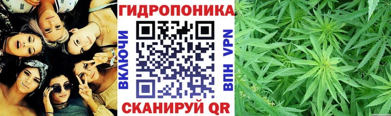 Купить где Дорогобуж Канабис THC 21%